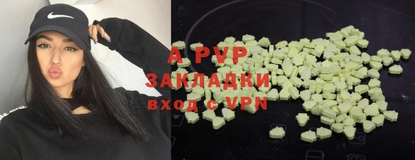 молекула духа Новокубанск