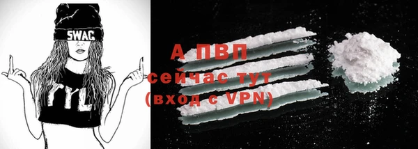 mdpv Новодвинск
