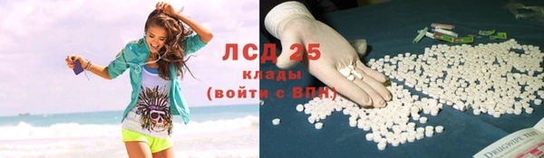 эйфоретик Новозыбков