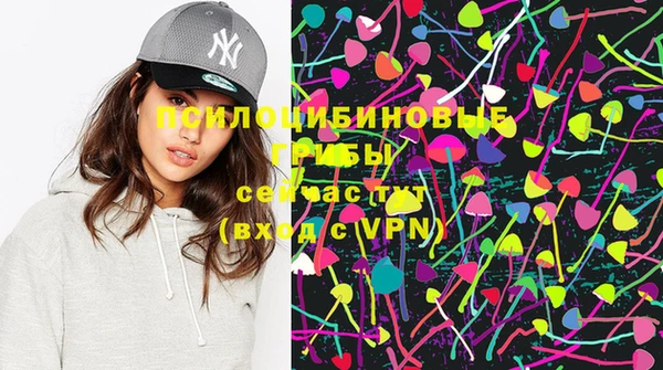 mdpv Новодвинск