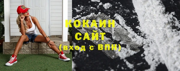 эйфоретик Новозыбков