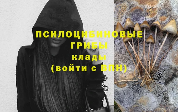 молекула духа Новокубанск