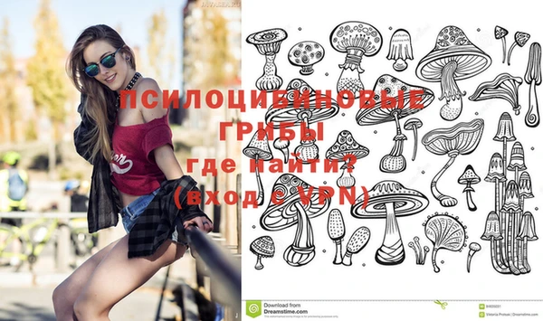 эйфоретик Новозыбков