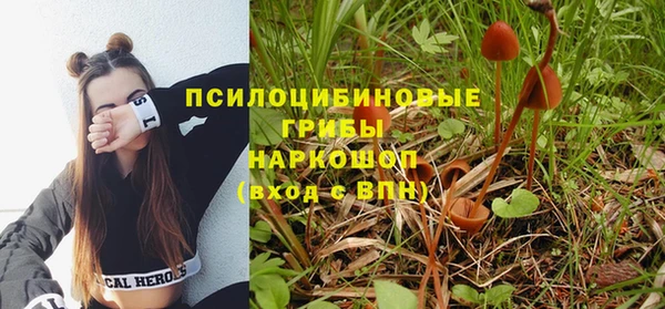 эйфоретик Новозыбков