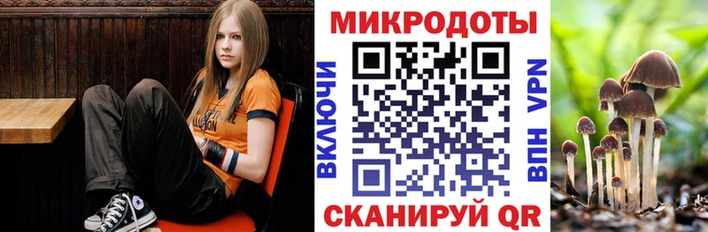 Псилоцибиновые грибы Cubensis мега tor Северск наркошоп