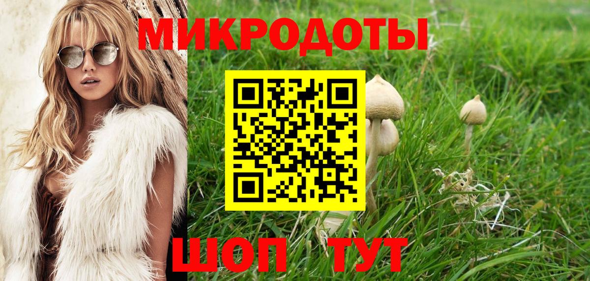 Галлюциногенные грибы MAGIC MUSHROOMS  Вход с VPN  купить  сайты  Северск 